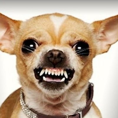 kim_sscc's profile picture. .