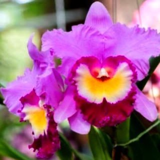 kkk_h_s's profile picture. 年上のお姉さんと熟女が好き