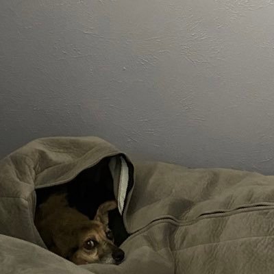 cinna_coo's profile picture. 1995. Capricorn. She/Her.