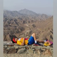 dgrusle (@dgrusle) 's Twitter Profile