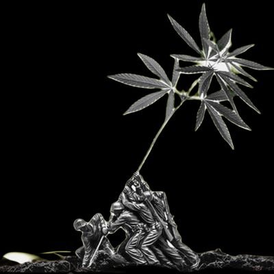 CANNABIS GROWERS COALITION π Profile