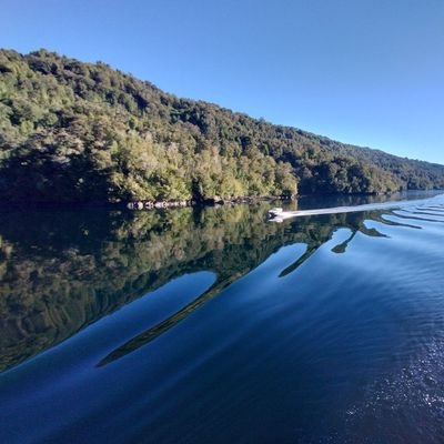 Mauricio51979's profile picture. Ingeniero en Automatización, MBA UOC.