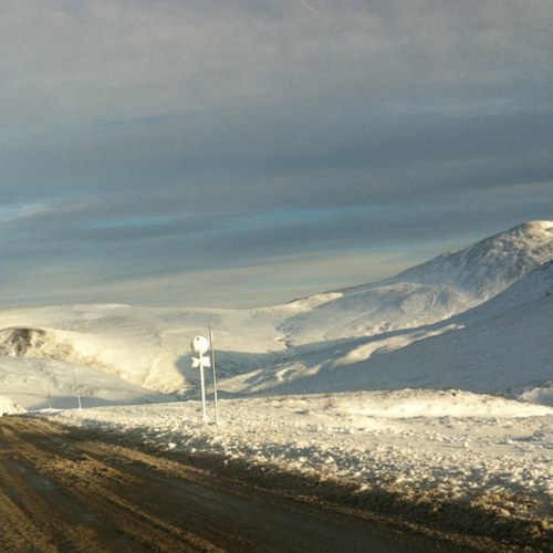 FTGary's profile picture. 