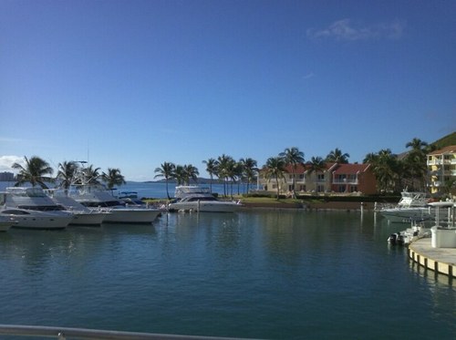 predgardo's profile picture. 