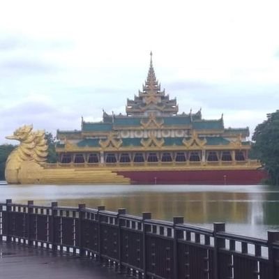 WaiTinTun188031's profile picture. 