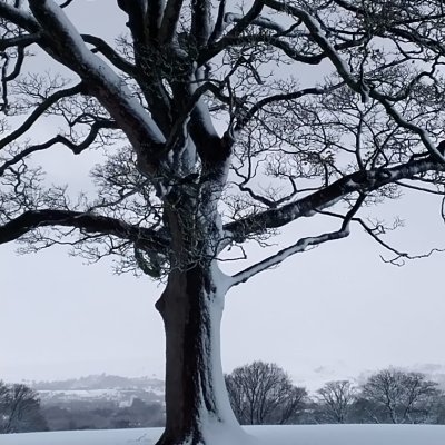 Friends of Graves Park Profile