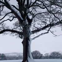 We Love Graves Park (@gravespark1) 's Twitter Profile Photo We Love Graves Park (@gravespark1) 's Twitter Profile Photo