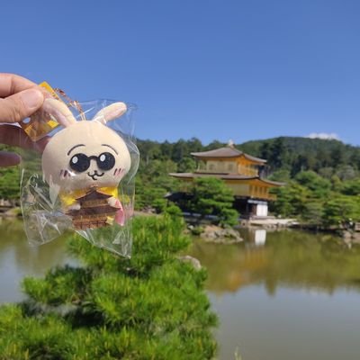 teaprog's profile picture. プログレと紅茶が好物。三度の飯よりKing Crimson。
宝塚歌劇団好き。
カメレオン・ライム・ウーピーパイ、ゲシュタルト乙女、NIKO NIKO TAN TAN、ぷにぷに電機、downt、um-hum、a子、illiomote、THEティバにハマっています。
ちいかわのうさぎ好き。