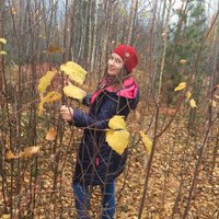 Tarah (@t_august96) 's Twitter Profile