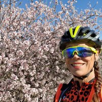 Debbie McCall (@debz1512) 's Twitter Profile