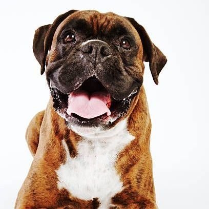 clermrj's profile picture. Learning the real world through a different lens.