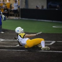 taylor vannett (@vannetttaylor) 's Twitter Profile