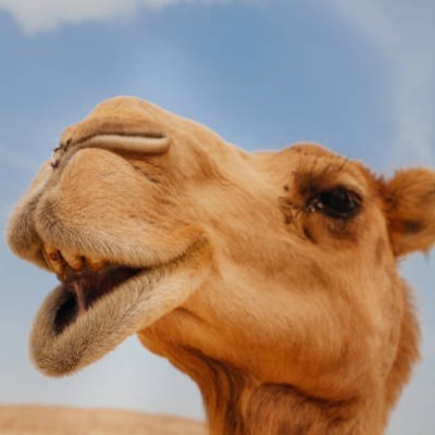 HedgeFundGab's profile picture. 