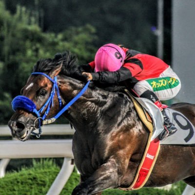 職業...騎手(高知競馬場 那俄性哲也厩舎)/趣味…バスケ、多趣味です!!/年齢…22😎/一言…感謝の気持ちを忘れない。よろしくお願いします🙇‍♀️ Instagram…https://t.co/AhkZM07m9s