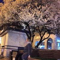 Evelyn (@patterson_evely) 's Twitter Profile