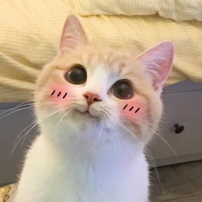 ggboxlai's profile picture. 