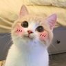 ggboxlai's profile picture. 