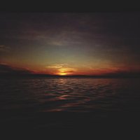 Nixonali (@nixonll_001) 's Twitter Profile