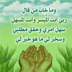 SalhLy37769's profile picture. لا تنتظروا سقوطنا فنحن في رعايه الله