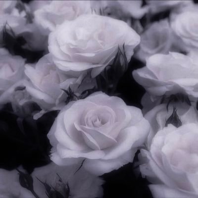 vqx_53's profile picture. 