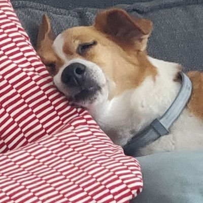 MariaGalindoRdg's profile picture. 00110001