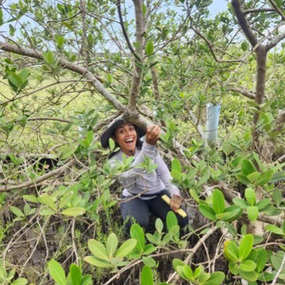 PhD student @UFcoastal studying mangrove ecology & coastal restoration. antiguan 🇦🇬. she/her