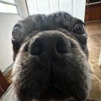 Camden (@camden_cdc) 's Twitter Profile