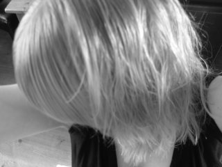 MerenwenAlcarin's profile picture. 