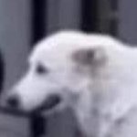 69xleverage's profile picture. gorbillions