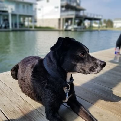 ebag4all's profile picture. 