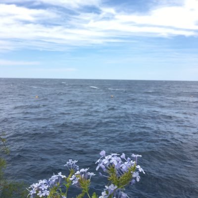 LaRivieraMonaco's profile picture. 