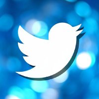Върнете птичката в логото (@return_the_bird) 's Twitter Profile Photo