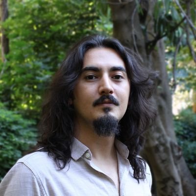 PhD candidate | serial dependence in vision, ensemble perception, attention, memory | R enthusiast #firstgen