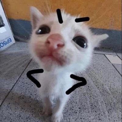 Nuh uhさんのプロフィール画像