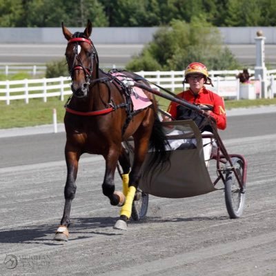 Standardbred Horse Trainer stabled out of Saratoga, NY