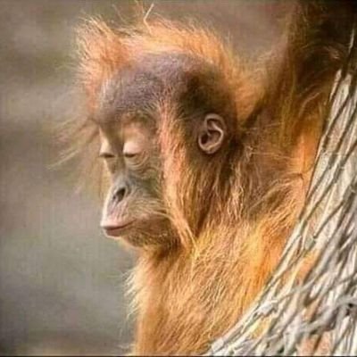 hope338058's profile picture. This is Themba, Bella, Thabang and Ilebaye stan account.