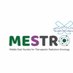 MESTRO (@Mestro_Org) Twitter profile photo