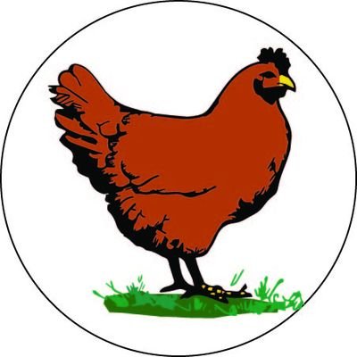 Pasture-raised Eggs and Meat - Nutrient dense food for a better life and better health. Chicken, Duck, Turkey, Goose, Lamb, Goat, and Pork. Est. 2017