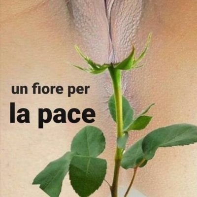 Lupo perdere pelò ma non il vizio