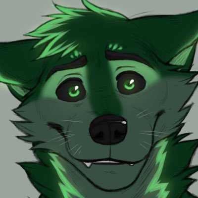 A gay 🇺🇸 🏳️‍🌈 25 y.o. green wolf that’s single and likes to party and make Friends. 18+ @robocheezitsAD