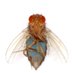 Ribeiro lab (@ribeirolab) Twitter profile photo Ribeiro lab (@ribeirolab) Twitter profile photo