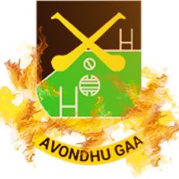 Avondhu GAA(@AvondhuGAA) 's Twitter Profile Photo