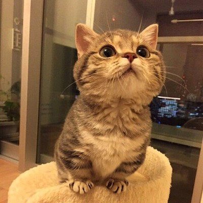 Edisonj4vier's profile picture. 