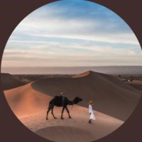 سائح (@sai7_s7) 's Twitter Profile Photo سائح (@sai7_s7) 's Twitter Profile Photo