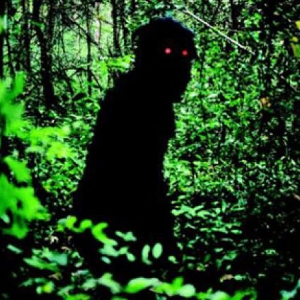 tiboo0o's profile picture. 