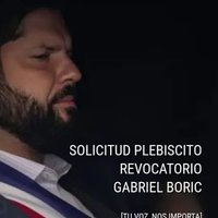 carito 🇨🇱❤(@ortegarojas) 's Twitter Profile Photo