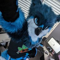 Sͥˡoͥlˡaͥˡsˡ 🔜 AO, AC (@solasbluebirb) 's Twitter Profile