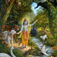 Madhav Gupta (@madhavg11950992) 's Twitter Profile