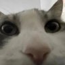 MarioOdyssey_1's profile picture. 22 || some kind of gay, he/him || alt for clips and junk: @MrMarioOdyssey1