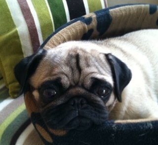 A little less grumpy